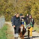 Gites Du Moulin, Centre Equestre, Restaurant Сasa de vacaciones Widensolen