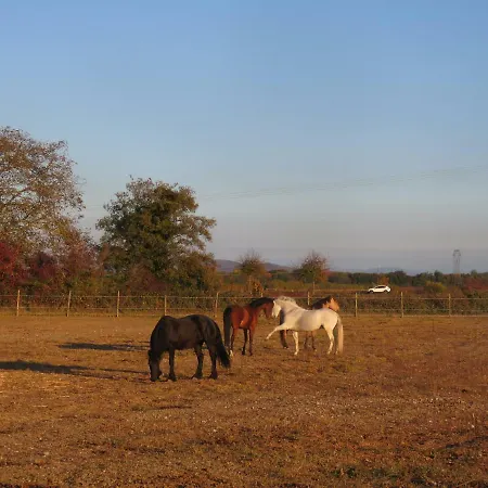 別荘 Gites Du Moulin, Centre Equestre, Restaurant *