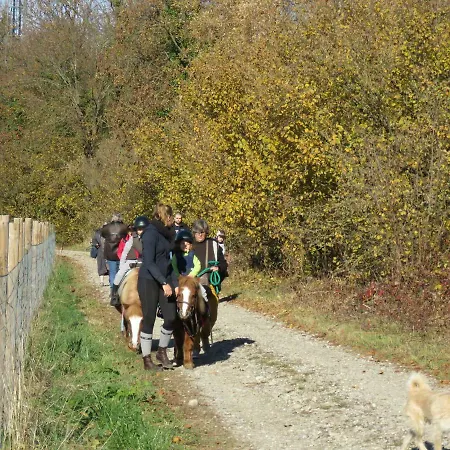 Gites Du Moulin, Centre Equestre, Restaurant Hébergement de vacances Widensolen