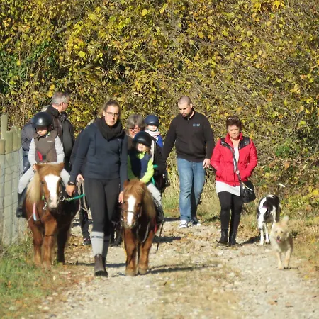Gites Du Moulin, Centre Equestre, Restaurant 別荘 Widensolen