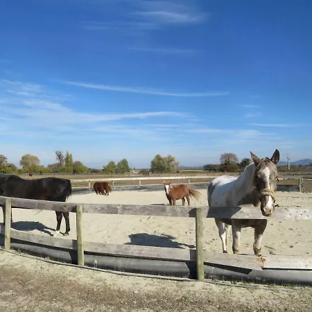 Gites Du Moulin, Centre Equestre, Restaurant