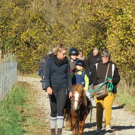 Gites Du Moulin, Centre Equestre, Restaurant 別荘 Widensolen