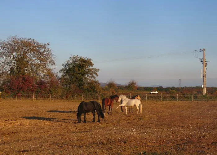 Feriehus Gites Du Moulin, Centre Equestre, Restaurant *