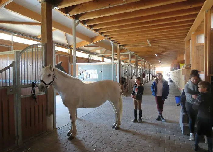 Feriehus Gites Du Moulin, Centre Equestre, Restaurant