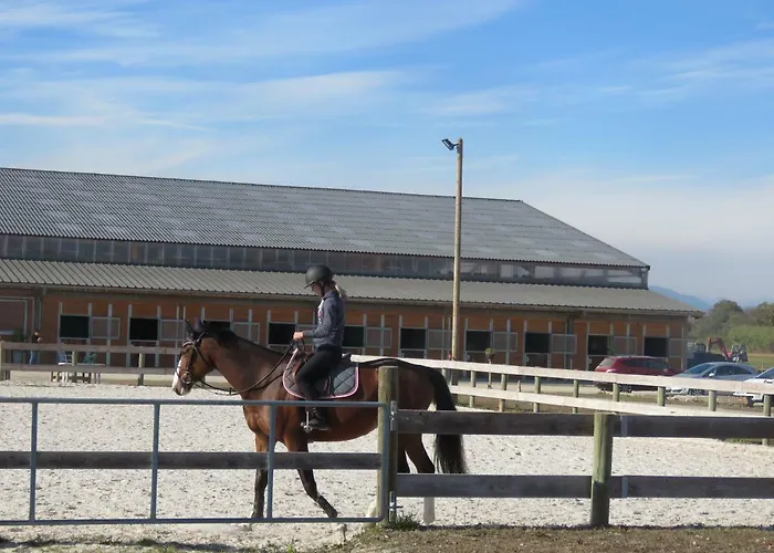 Gites Du Moulin, Centre Equestre, Restaurant Feriehus