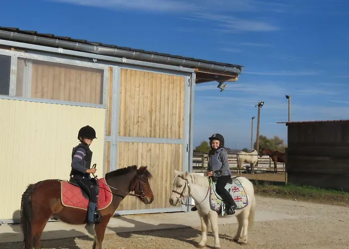 Gites Du Moulin, Centre Equestre, Restaurant Feriehus Widensolen