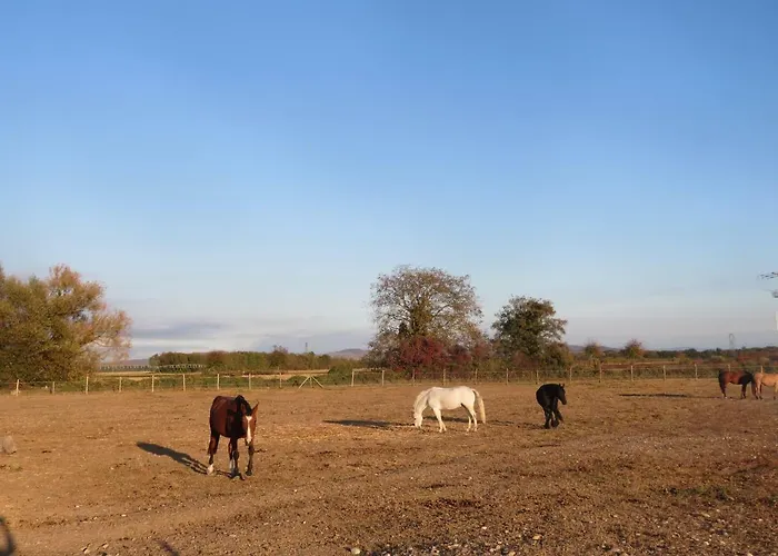 Gites Du Moulin, Centre Equestre, Restaurant * Widensolen