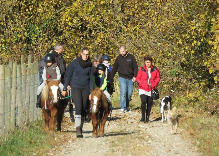 Gites Du Moulin, Centre Equestre, Restaurant Feriehus Widensolen
