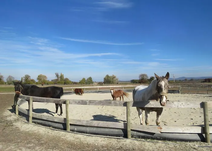 Gites Du Moulin, Centre Equestre, Restaurant